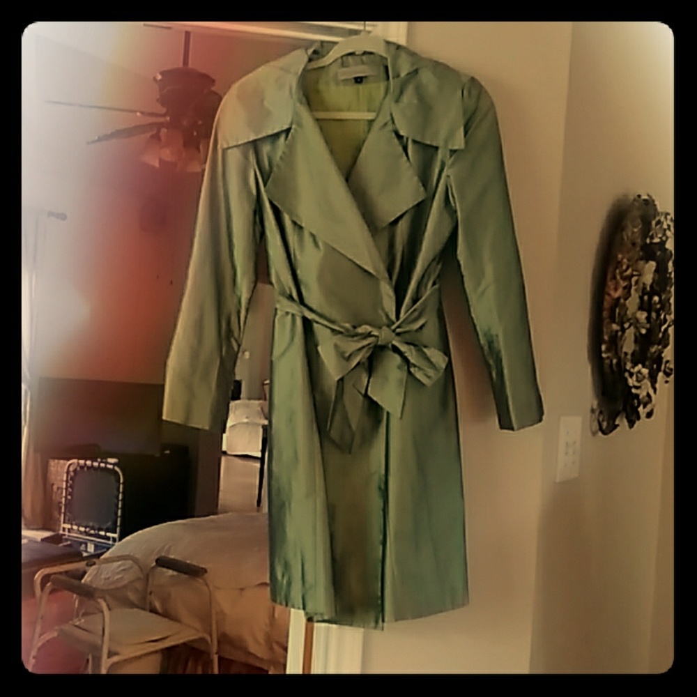 Raw celery green raw silk coat dress